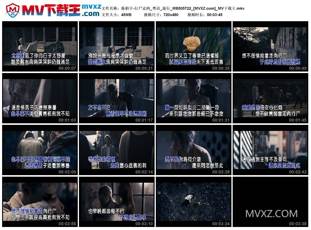 陈柏宇-行尸走肉_粤语_流行_MB505722